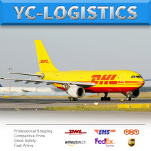 DHL express shipping door to door service cargo shipping service from China to worldwide